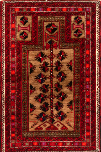 Baluch Red